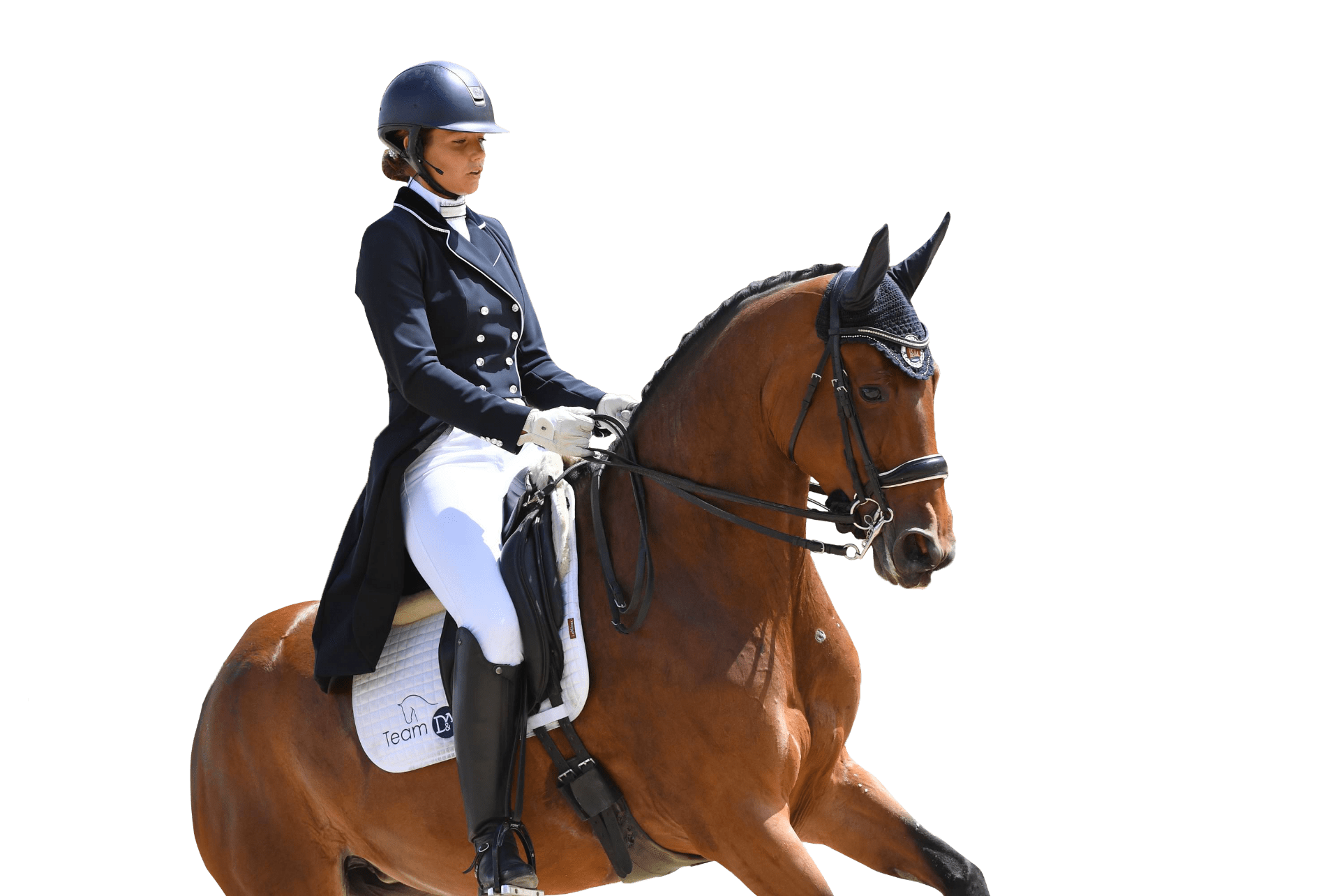 Une cheval et son cavalier dans une épreuve de dressage